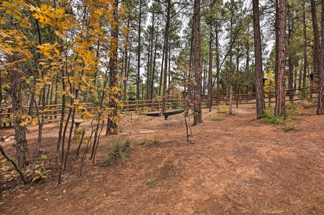 Pet-Friendly Show Low Cabin With Trail Access! Exteriér fotografie